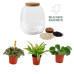 Plant Puzzel ® Discover the World Ecosysteem met verlichting 