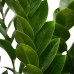 Decorum Zamioculcas in Elho Vibes Fold Rond sierpot (diepblauw)