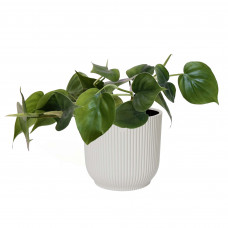 Decorum  Philodendron Scandens in ELHO sierpot Vibes Fold (zijdewit)