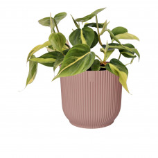 Decorum Philodendron Brazil in ELHO sierpot Vibes Fold (delicaat roze)